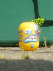 pré toy 1.JPG