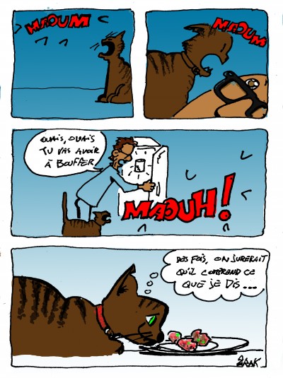 bdblog,bd blog,chat,drôle,?