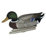 appelant-canard-colvert-------3001.jpg