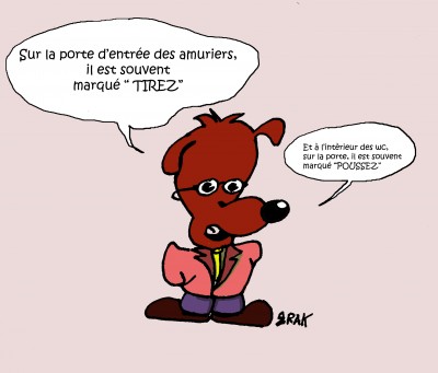 le chien.jpg