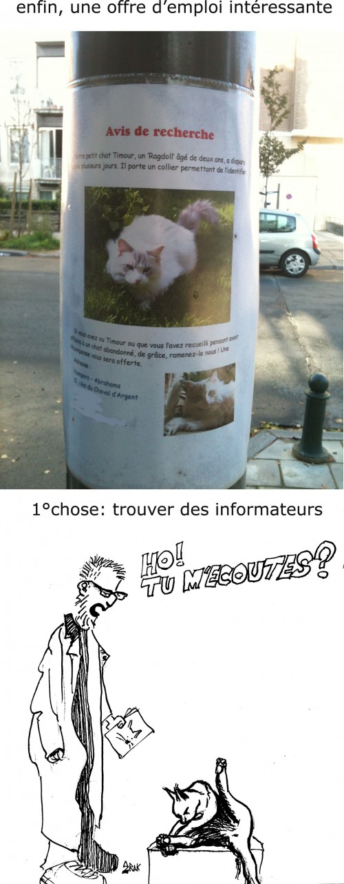 job,chat