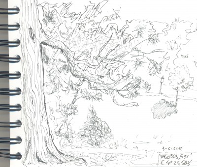 urban,sketch,bruxelles