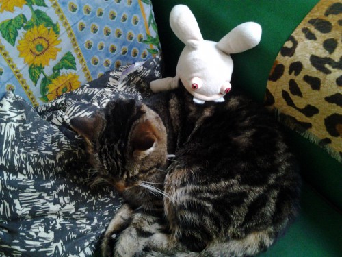 20140130_101021.jpg