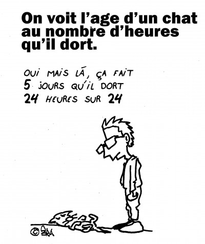 pas vrai,dans la vrai vie