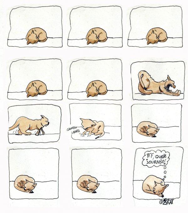 whatacatday.jpg