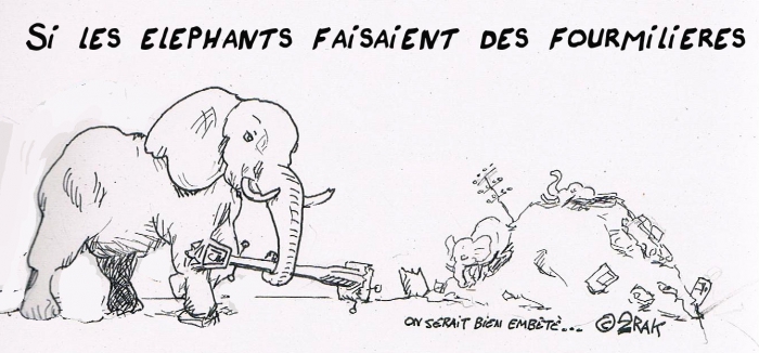 si les.jpg
