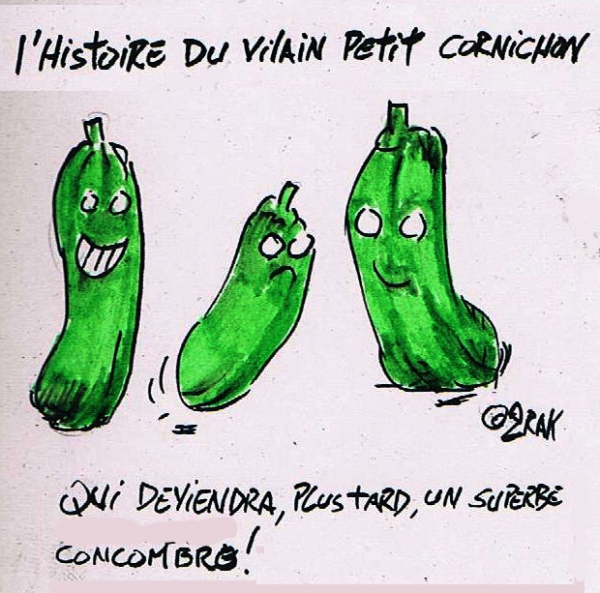 l'histoire.jpg