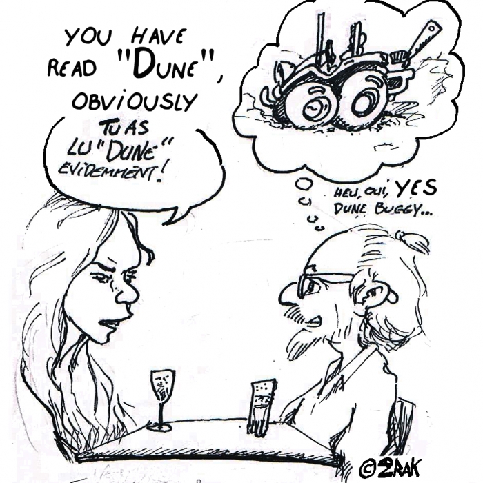 dune mais buggy.jpg